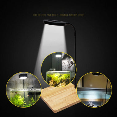 10W Miniature Landscape USB Powered With Wood Board
