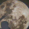 LED Moon Earth Projector Lamp